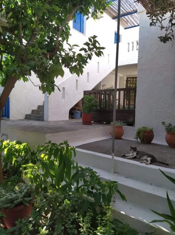 Stamoulis Apartments Kampos Marathokampou Exterior photo